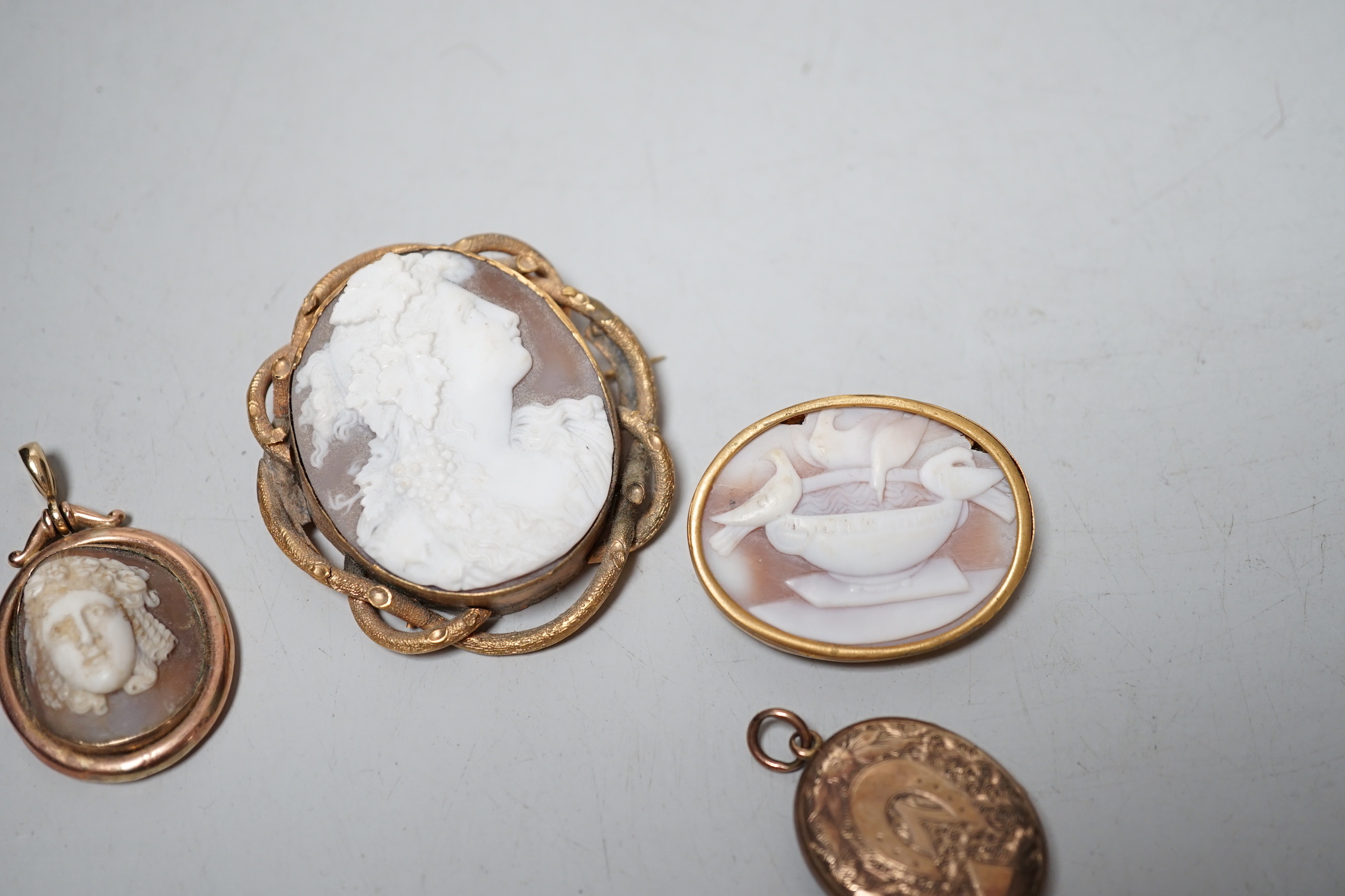 Three assorted gilt metal mounted cameo shell brooches, including bust and The Pliny Doves, largest 60mm, together with a locket and brooch with photograph of a gentleman.